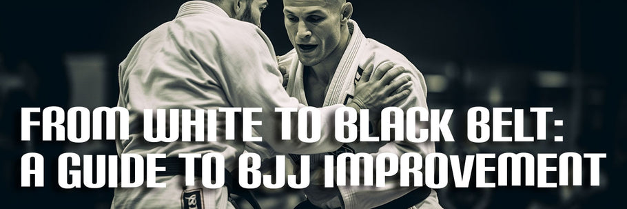 From White to Black Belt: A Guide to BJJ Improvement